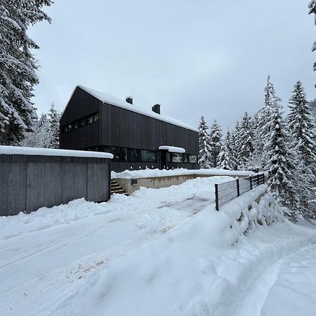 Chalet Dachstein Ramsau am Dachstein Kültér fotó