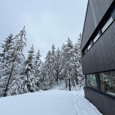 Chalet Dachstein Ramsau am Dachstein Kültér fotó